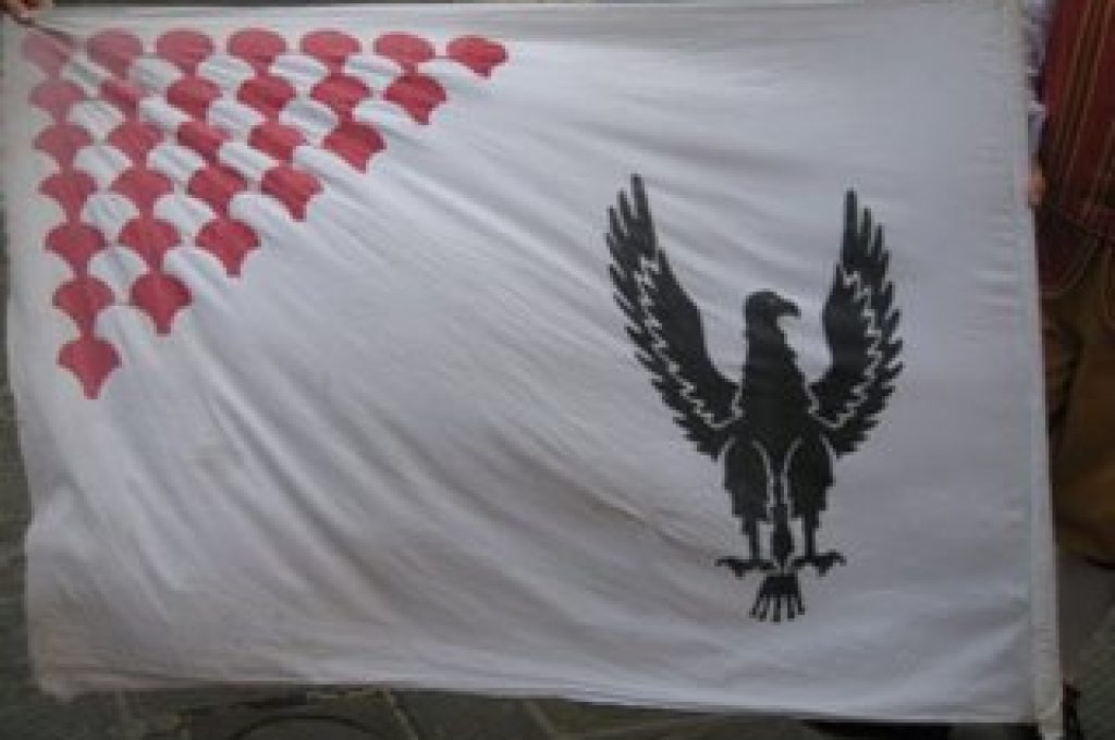bandiera-pugilli2