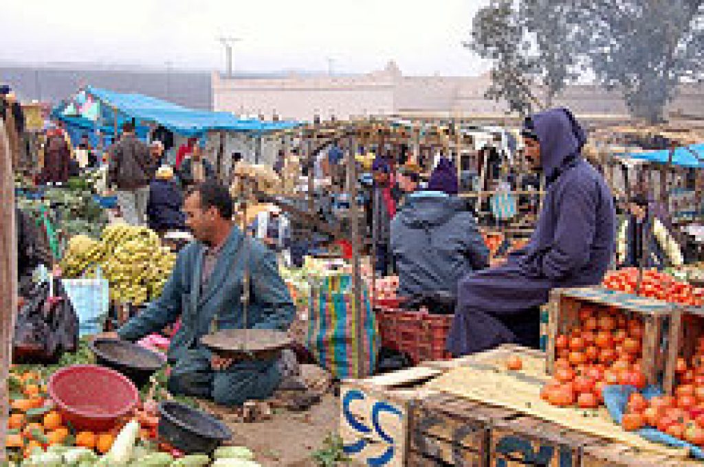 berber