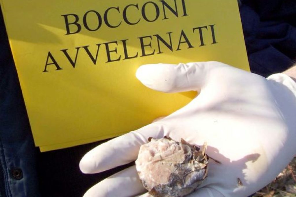 bocconi-avvelenati-x