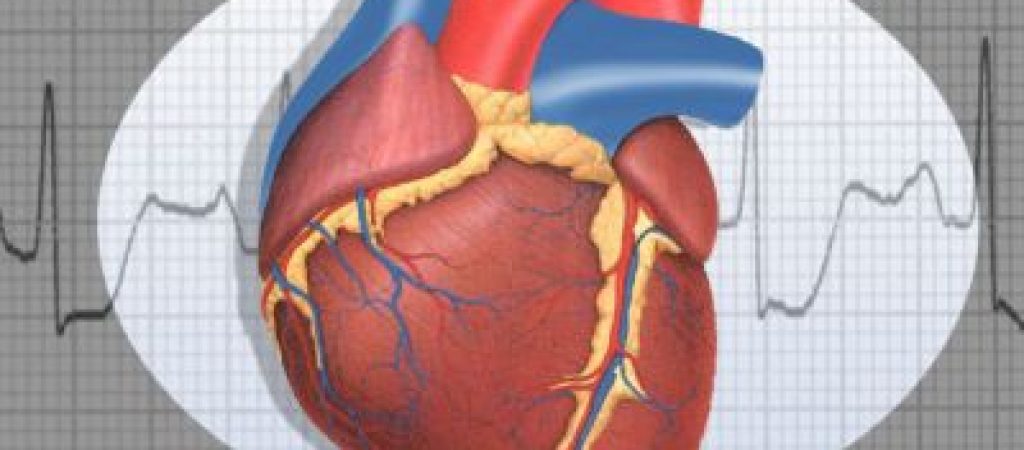 Коронарный сердца. Почему болит сердце.