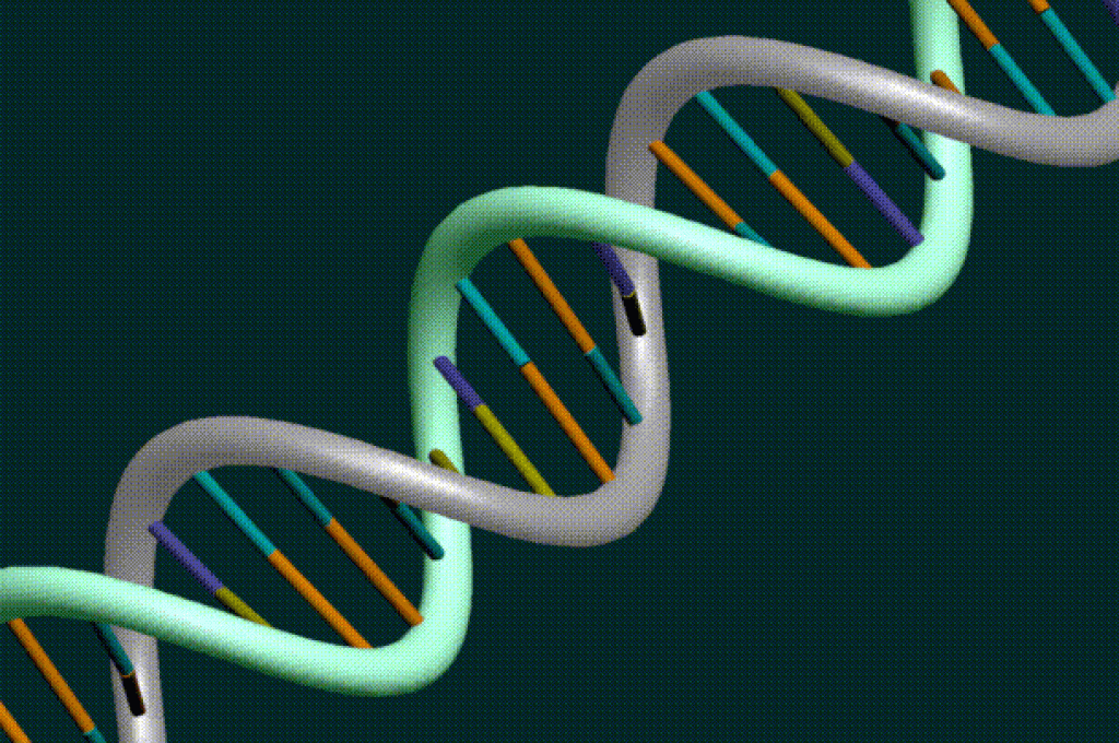 dna_rgb