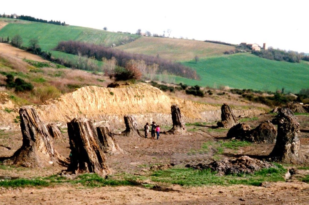 dunarobba-foresta-fossilie