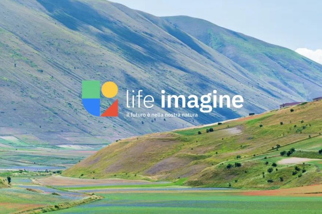 life_imagine copia 2