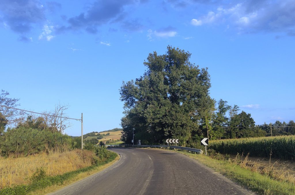 ponte su strada Spina (2)