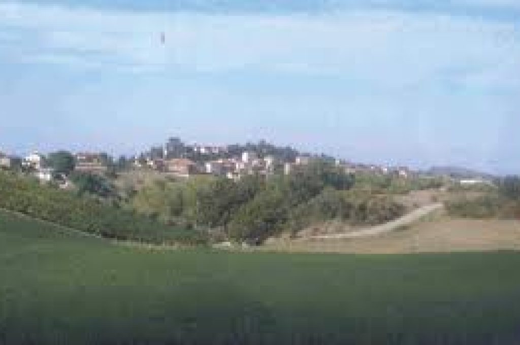 san-venanzo-panorama