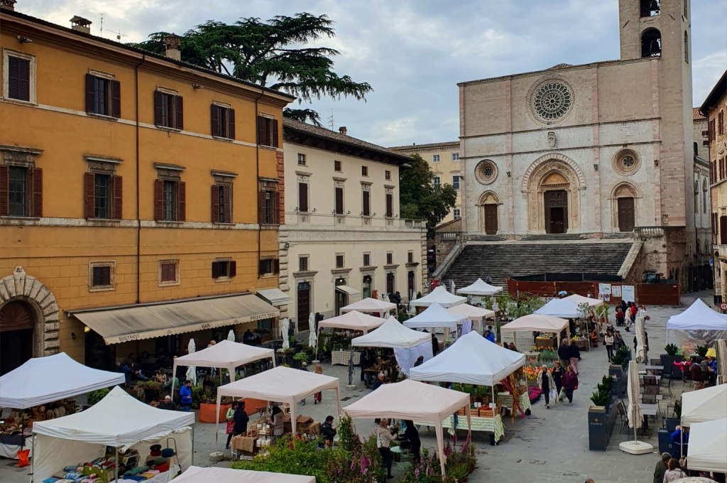 todi fiorita 3